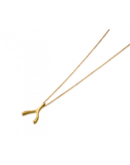 Gargantilla Hueso de la Suerte Vermeil